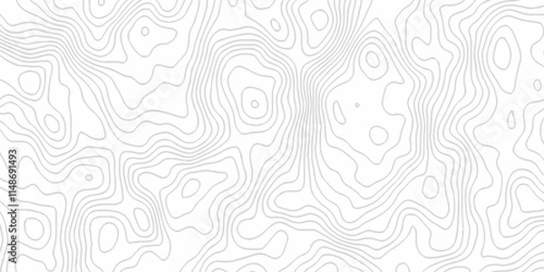 Fototapeta White topography topology vector white background fresh contour map texture. white seamless pattern Abstract background with a wave Topography and geography map grid abstract backdrop.