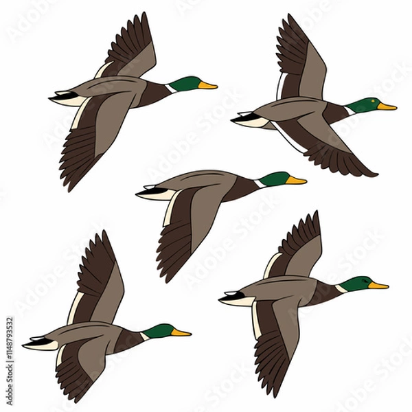Obraz A vector artwork of a migrating flock of ducks in flight, ideal for digital and graphic design projects.