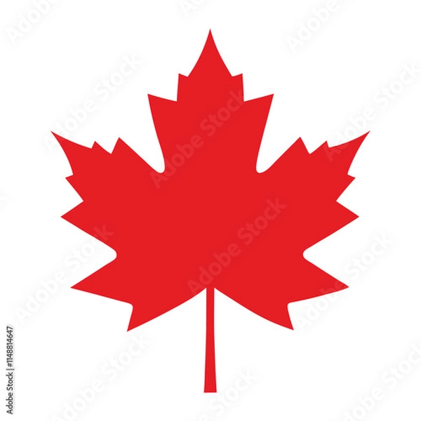 Fototapeta Maple leaves isolated vector on white background.