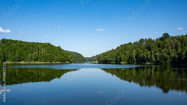 Fototapeta Tranquil Forest Lake: Serene Waters Reflecting Dense Greenery Under a Clear Blue Sky, Capturing the Peaceful and Picturesque Natural Beauty of the Pristine, Lush Wilderness
