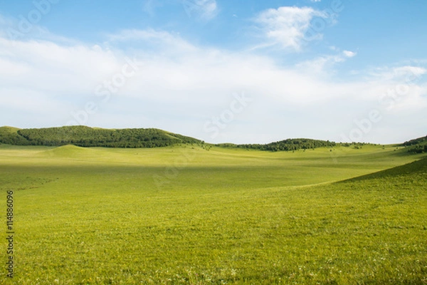 Fototapeta China Inner Mongolia natural grassland