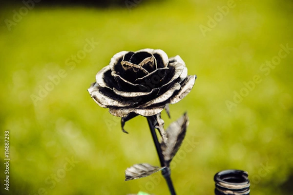 Obraz beautiful wrought iron rose