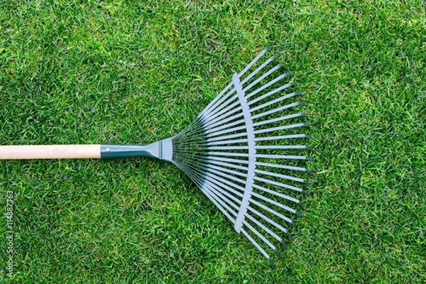 Fototapeta rake on a wooden stick, collecting grass clippings, garden tools
