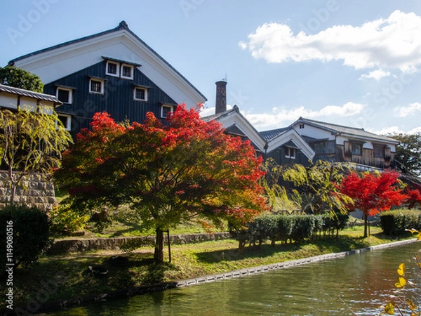 Fototapeta 京都 伏見を流れる湊川の秋