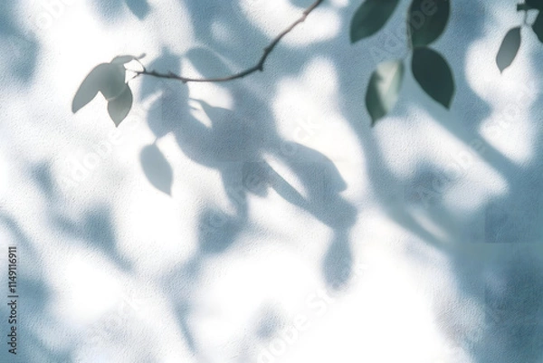 Fototapeta Tree shadow and light of leaf branch background. Nature leaves tropical jungle tree branch dark shadows and light from sunlight on wall texture for background wallpaper design, shadow overlay effect