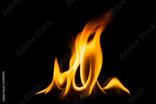 Obraz Fire flame on black background, Fire, Flame