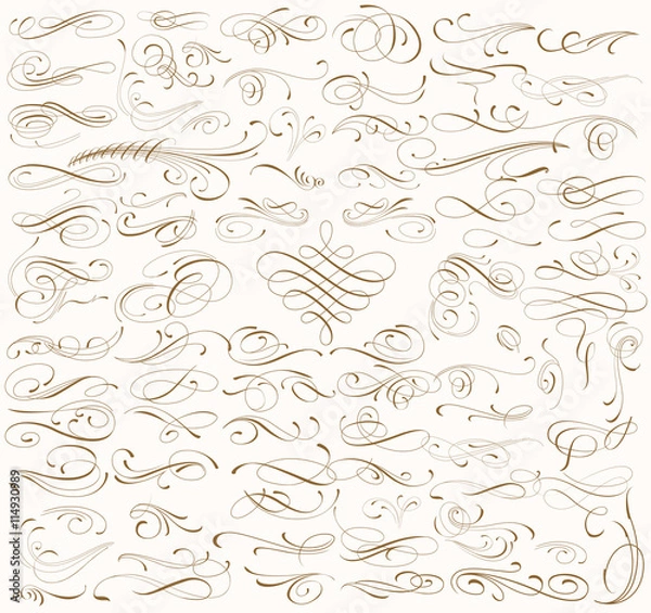 Fototapeta Ogromny zestaw dekoracyjny wiruje