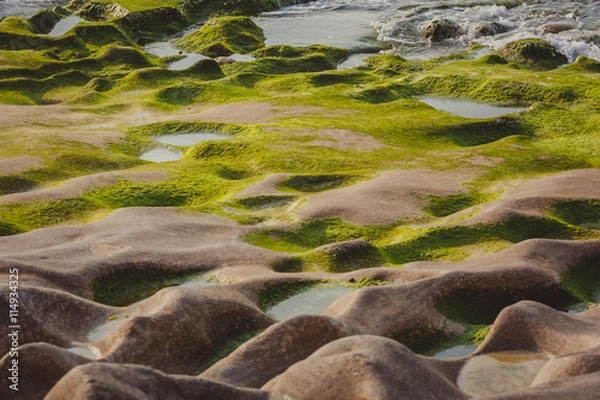 Fototapeta Background : Coast of volcanic rock