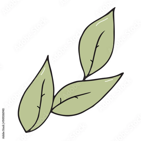 Fototapeta green sprig with a leaf of green or black tea, natural, organic, eco-friendly, vector color doodle element, cute design element