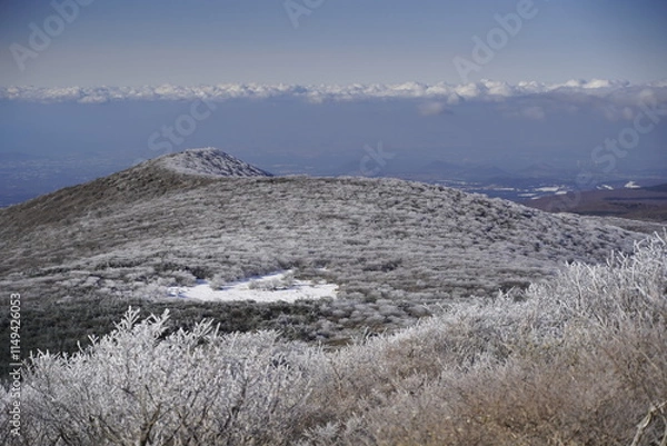 Fototapeta 한라산 영실 눈꽃 설산라산 영실 눈꽃 설산