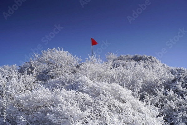 Fototapeta 한라산 영실 눈꽃 설산라산 영실 눈꽃 설산