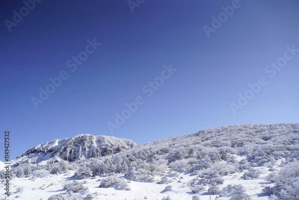 Obraz 한라산 영실 어리목 눈꽃 설산 백록담