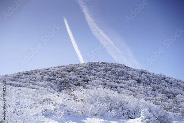 Obraz 한라산 영실 어리목 눈꽃 설산