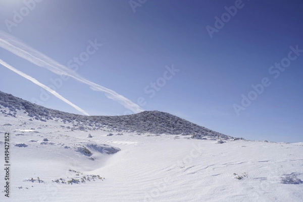Obraz 한라산 영실 어리목 눈꽃 설산