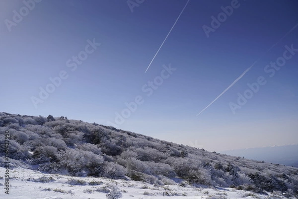 Obraz 한라산 영실 어리목 눈꽃 설산