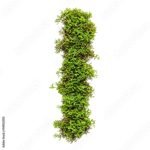Fototapeta Green moss isolated on transparent background