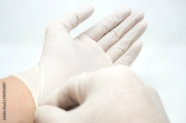 Fototapeta zakładanie jednorazowych sterylnych białych rękawiczek na białym tle
