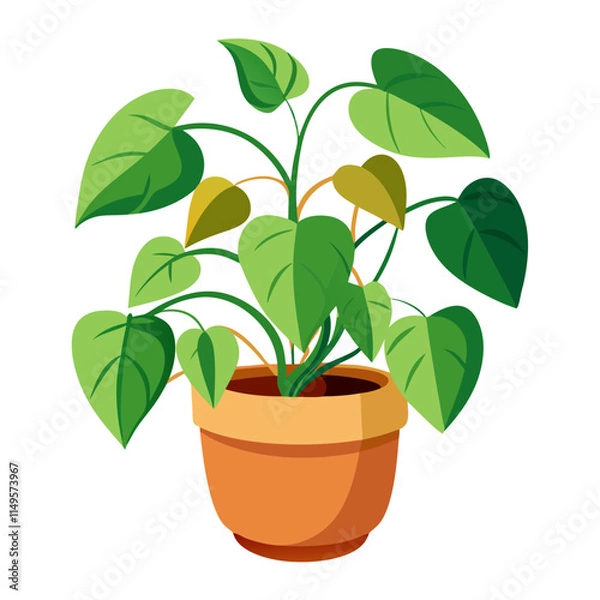 Fototapeta Bright green pothos vine thriving in a terracotta pot against a clean white backdrop for a fresh look in home decor