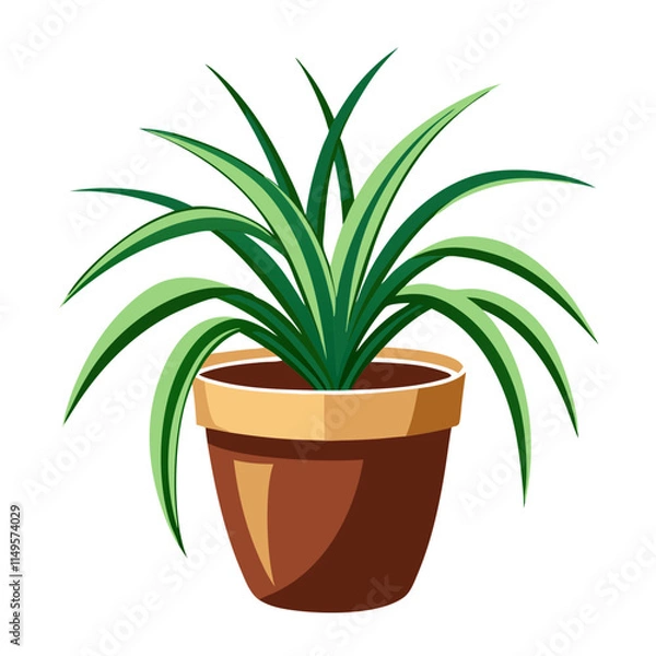 Fototapeta Potted spider plant thriving in a bright, minimalist setting with a white backdrop