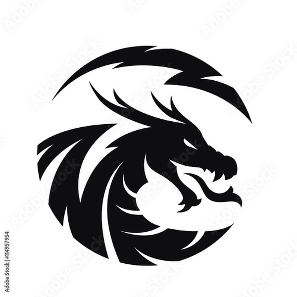 Obraz Logo Dragon