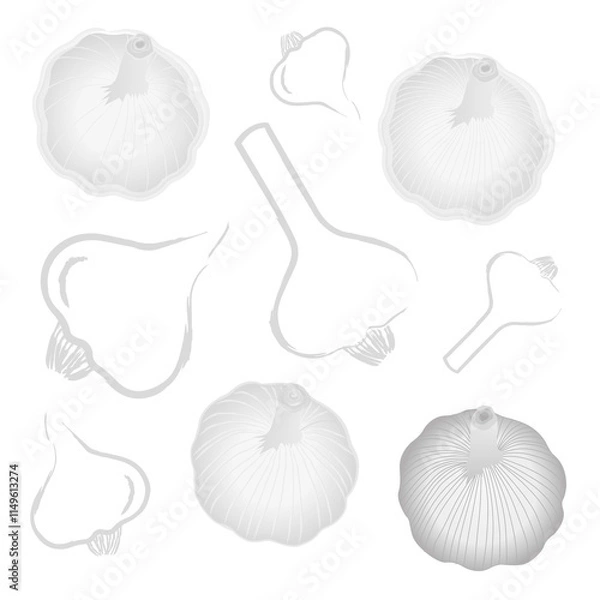 Obraz Knoblauch
