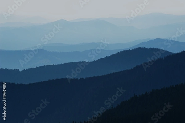 Obraz Blue nature background