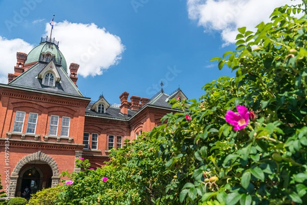 Fototapeta 北海道庁旧本庁舎