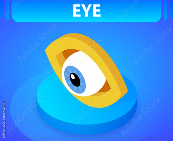Obraz Eye isometric icon. Vector illustration. 3d concept