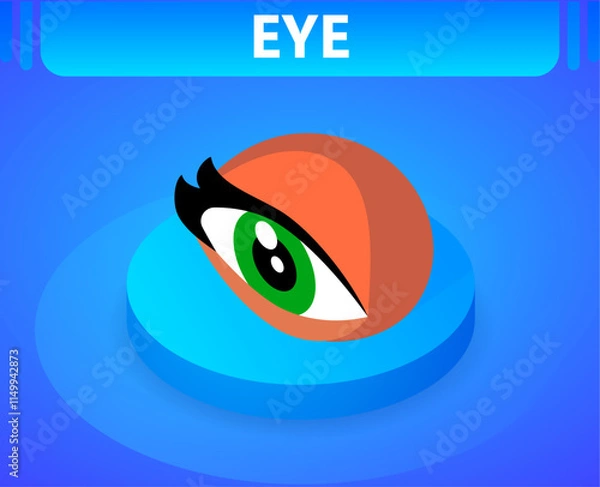 Obraz Eye isometric icon. Vector illustration. 3d concept