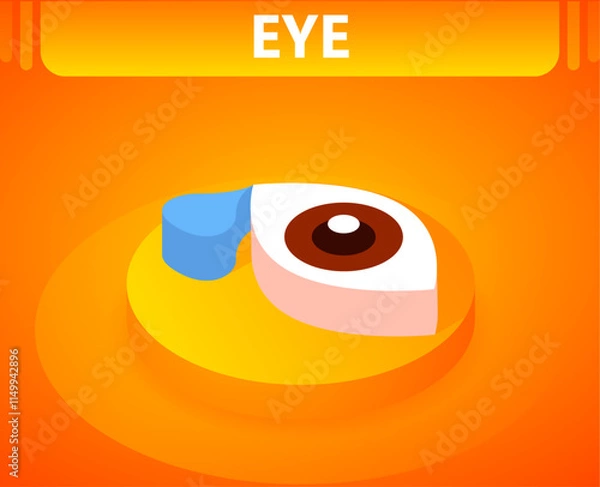 Obraz Eye isometric icon. Vector illustration. 3d concept