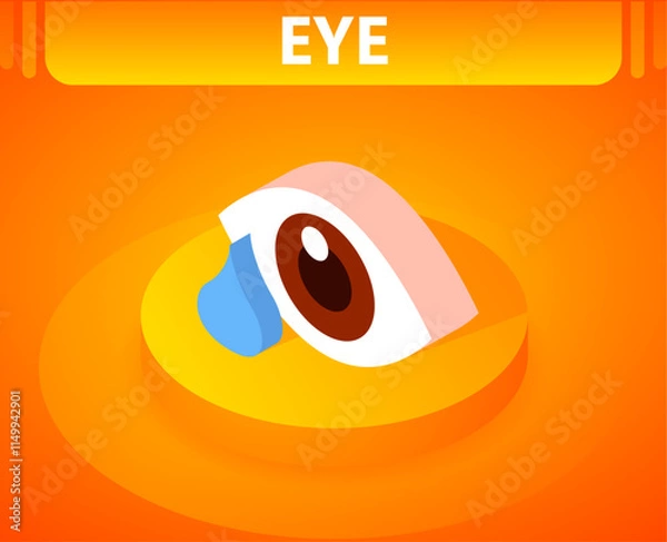 Obraz Eye isometric icon. Vector illustration. 3d concept