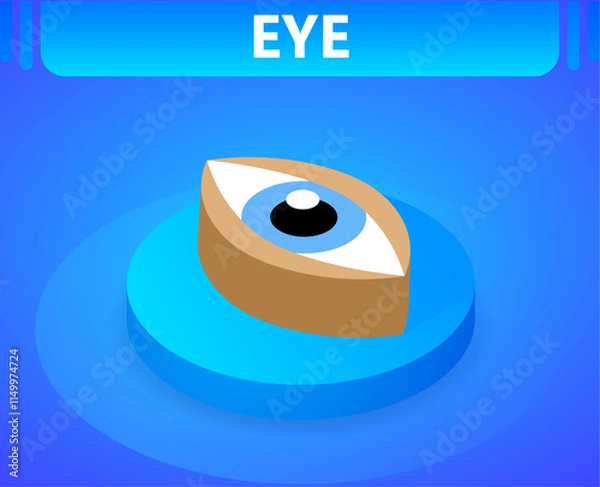 Obraz Eye isometric icon. Vector illustration. 3d concept