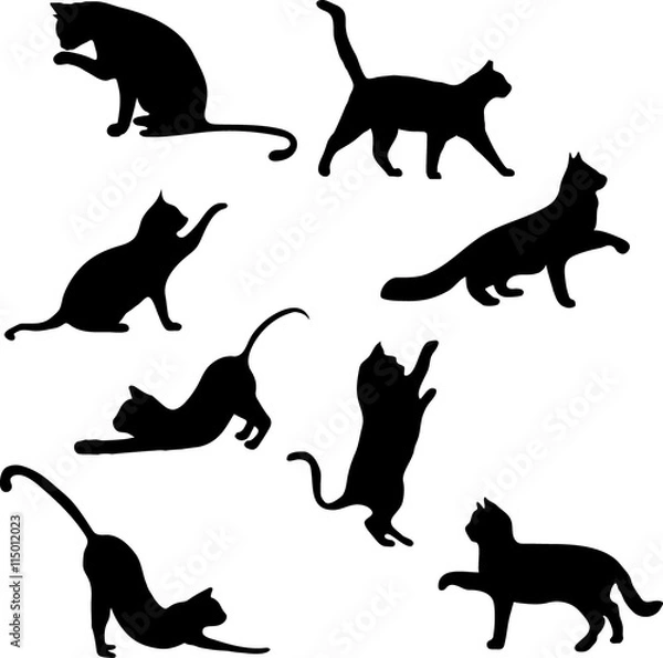 Obraz Cats collection - vector silhouette
