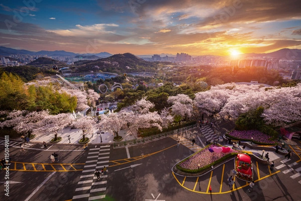 Obraz Cherry blossoms blooming in spring at E-World 83 Tower a popular tourist destination. in Daegu,South Korea.