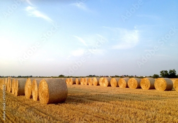 Fototapeta rotoballe