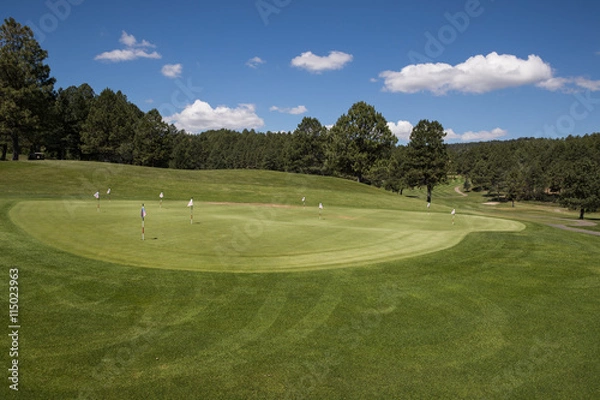 Fototapeta Putting Green 