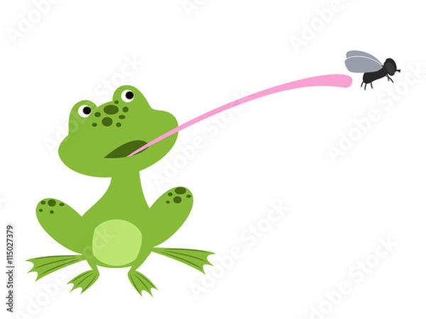 Fototapeta cute frog with a long tongue trying to catch a fly