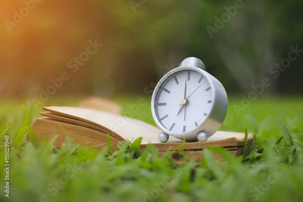 Obraz Stock Photo:.Retro clock and book with cup of coffee on the gree