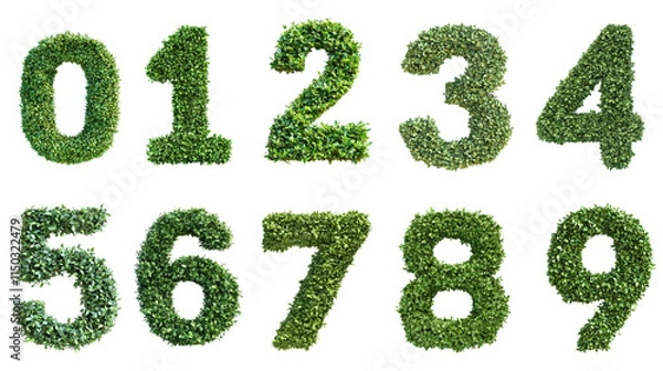 Fototapeta Green foliage forms numerals zero through nine.