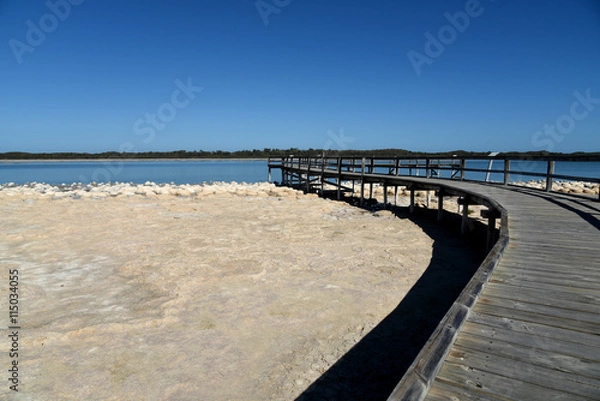 Fototapeta Living Fossils: The Thrombolites of Lake Clifton