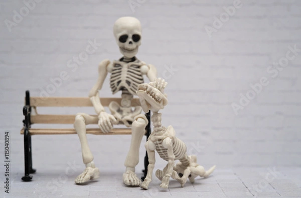 Obraz Playful skeleton dog