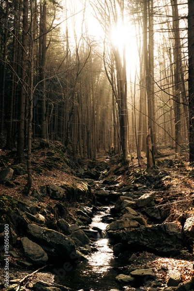 Fototapeta The sun is brightly shining through the lush trees in the woods
