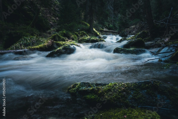 Fototapeta A serene river gracefully flowing through a lush green forest ecosystem