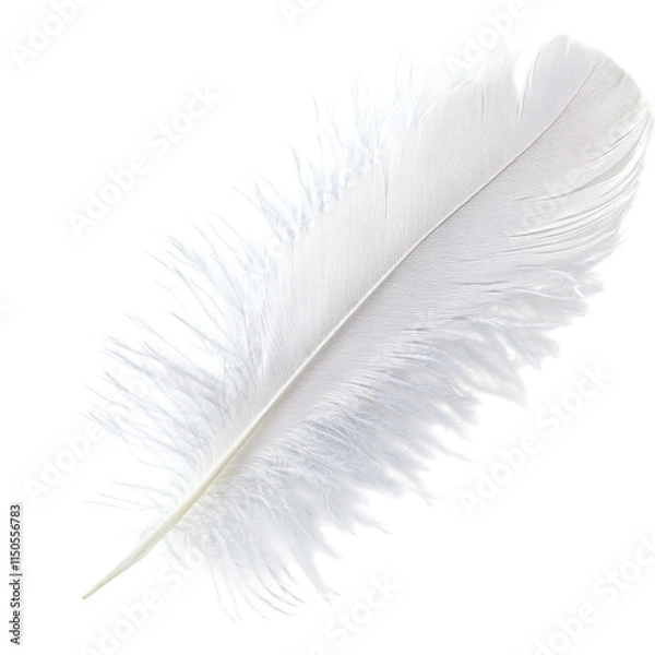 Fototapeta White feather isolated on a transparent background, empty blank png background