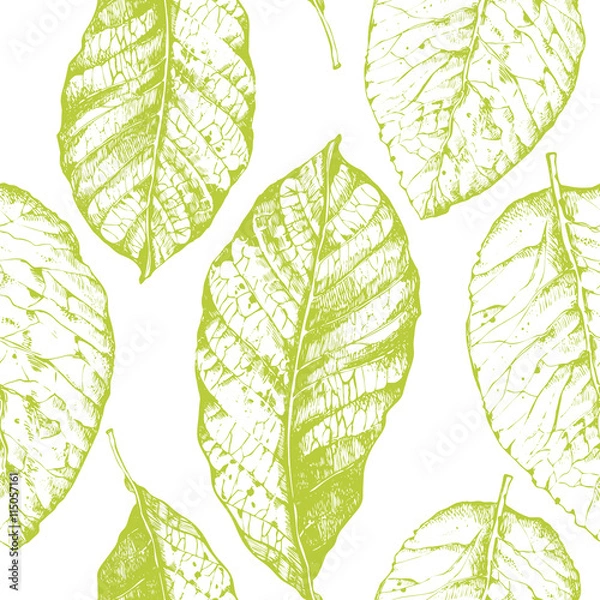 Fototapeta Seamless with leaves pattern on white background. 