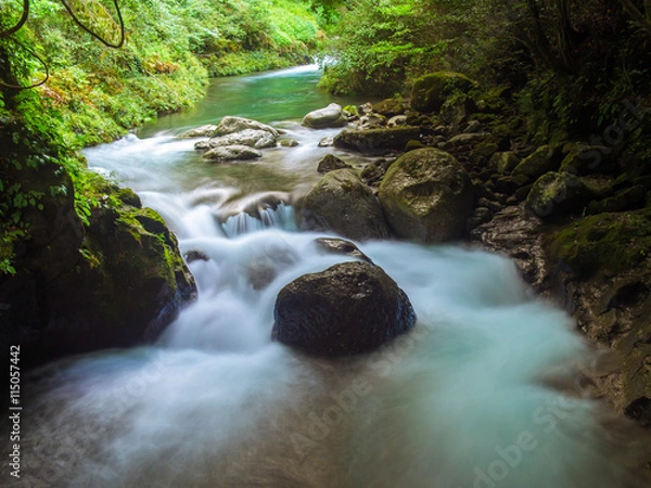 Fototapeta 夏の天安河原渓谷