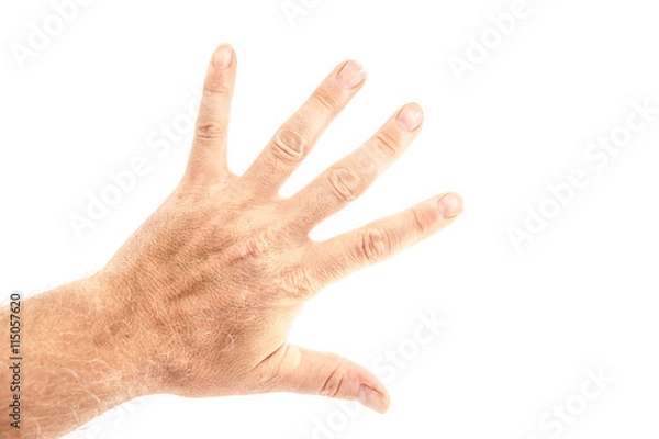 Fototapeta Hand in the air