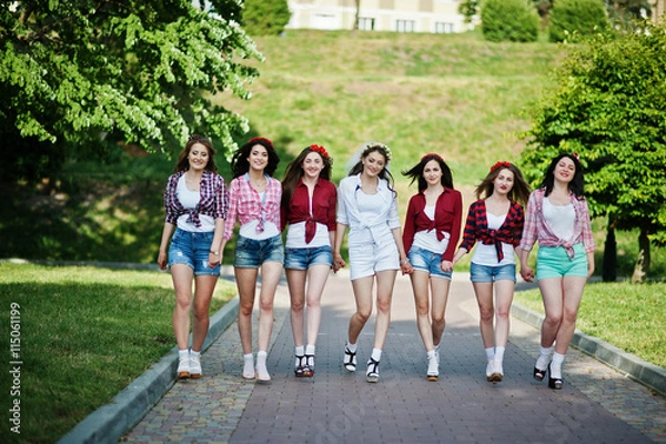 Obraz Seven happy and sexy girls on short shorts posed and having fun