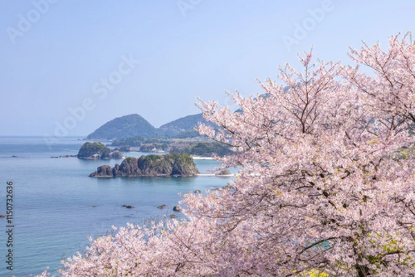Obraz 春の丹後松島