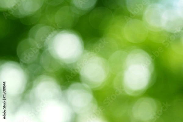 Fototapeta Abstract circular green bokeh background.

